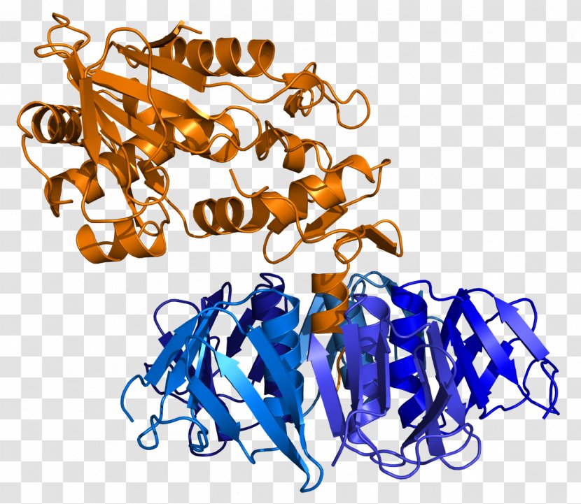 Shiga Toxin Exit Strategy: A Novel Shiga-like Shigella Dysenteriae - Frame - Cartoon Transparent PNG