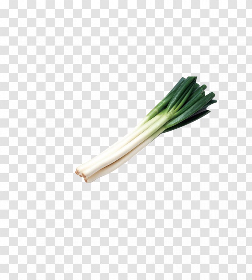 Allium Fistulosum Onion Garlic Chives Scallion - Image Transparent PNG