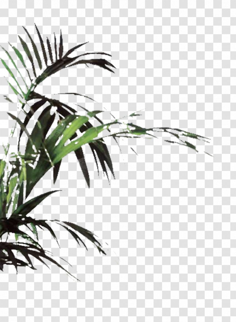 Plant Euclidean Vector Icon - Feather Transparent PNG