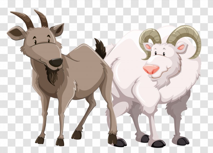Goat Royalty-free Diagram Illustration - Illustrator - Vector Sheep Material Transparent PNG
