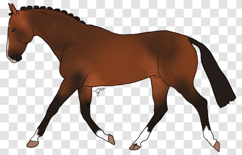 Mane Appaloosa Stallion Mustang Rein - Horse Harnesses - Alexander The Great Transparent PNG