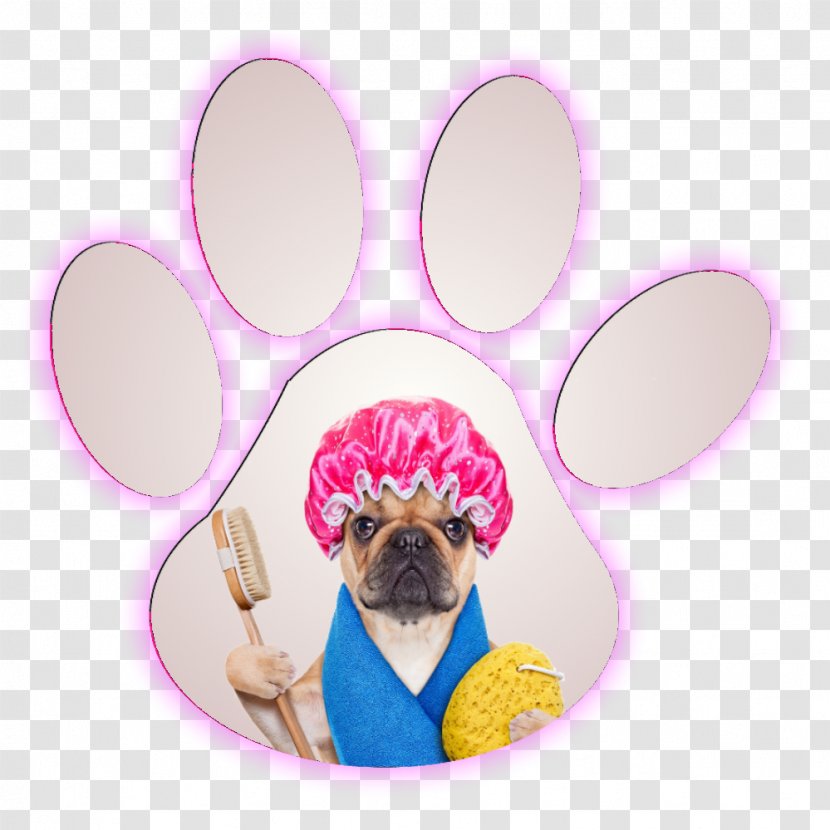 Puppy Dog Grooming Cat French Bulldog Cockapoo - Pink Transparent PNG