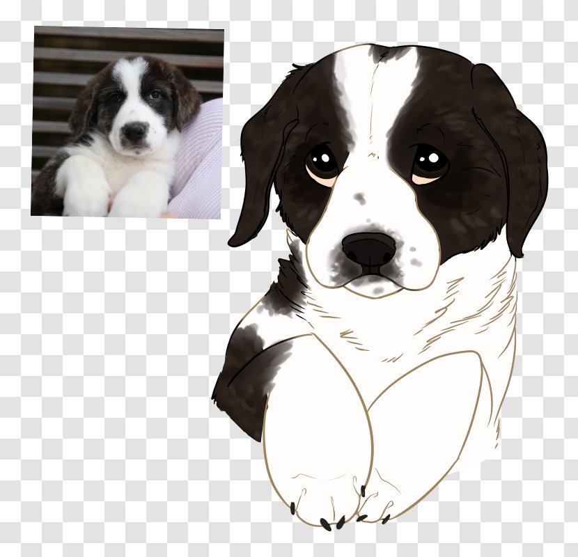 Drentse Patrijshond English Springer Spaniel Puppy St. Bernard Art - Love - Cute Dog Transparent PNG