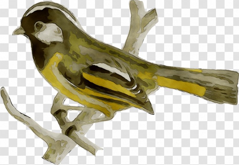 Finches Fauna Beak Figurine - Songbird Transparent PNG