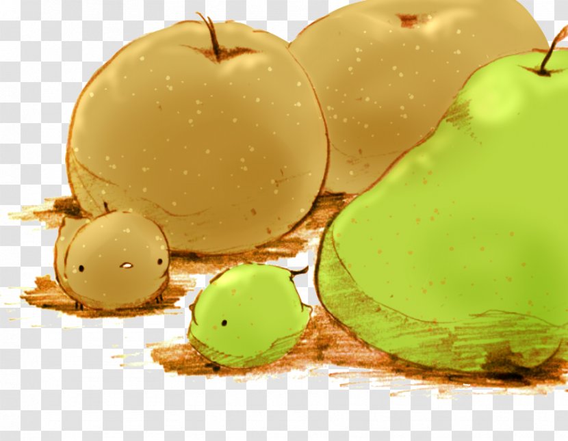 Food Granita Animation Dessert Illustration - Fruit Chick Transparent PNG