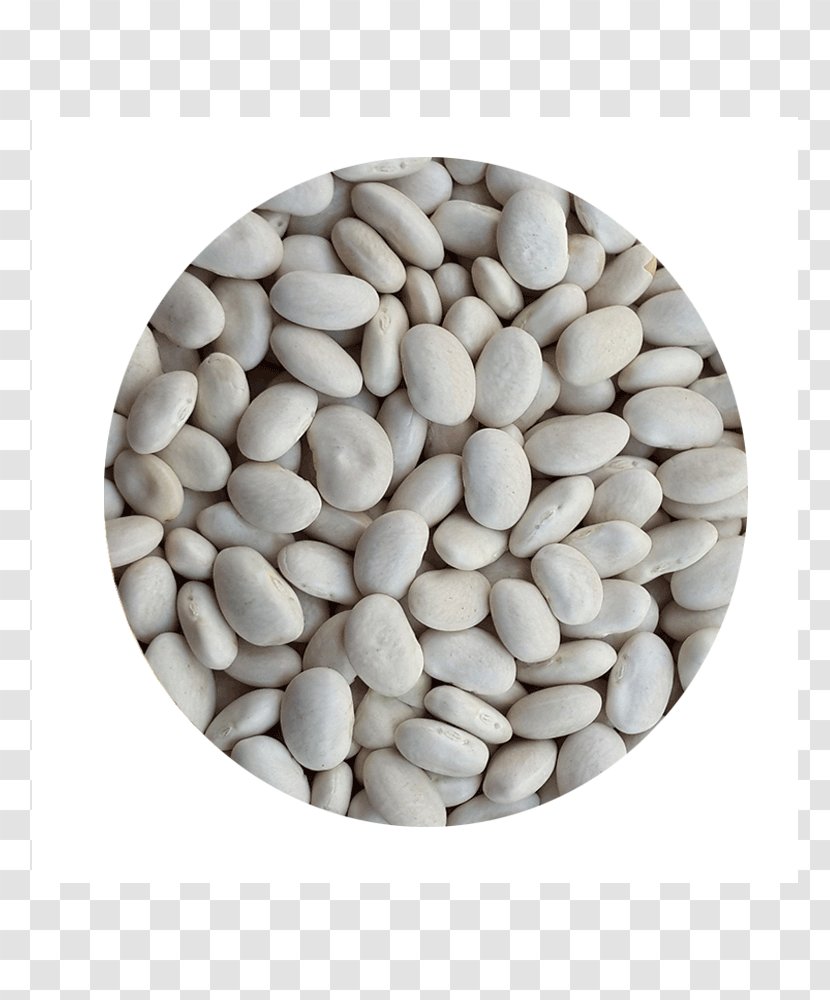 Kuru Fasulye Gürbüz Çiftliği’ Legume Common Bean Price - Brand Transparent PNG