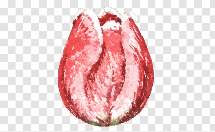 Close-up Lip Fruit - Flower - Tree Transparent PNG