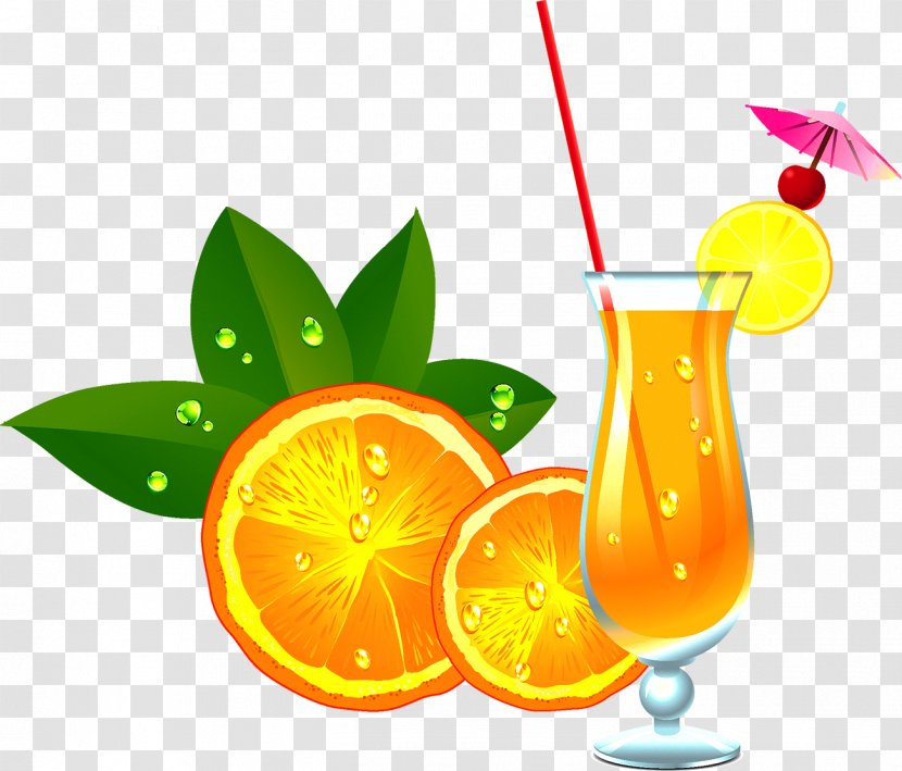 Orange Juice Cocktail - Tangerine Transparent PNG