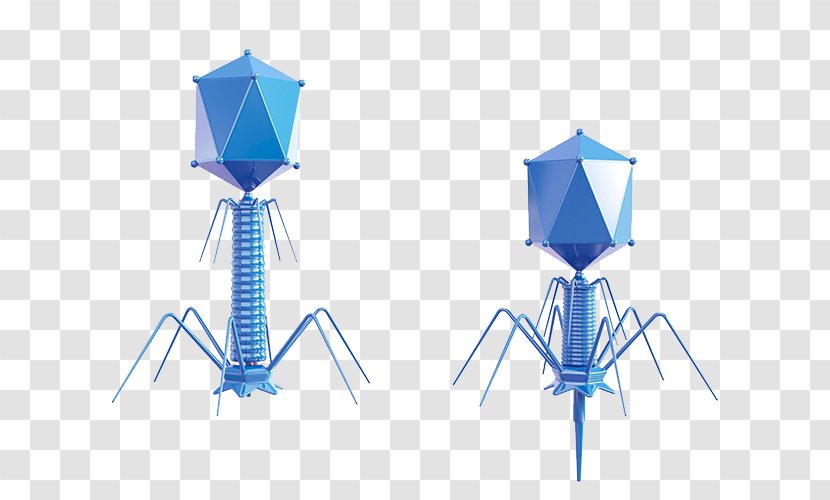 Bacteriophage Biotechnology Biology - Symmetry - Biological Technology Transparent PNG