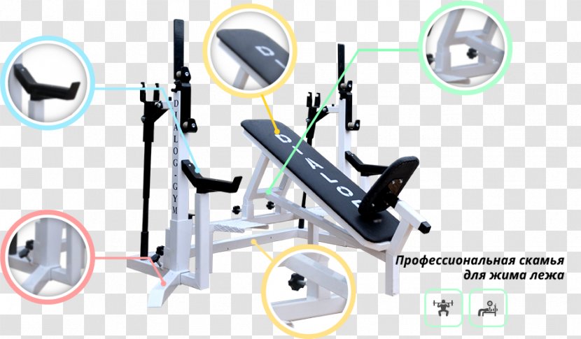 Elliptical Trainers Fitness Centre Exercise Machine Dialog Gym Sport - Powerlifting - Box，dialog Transparent PNG