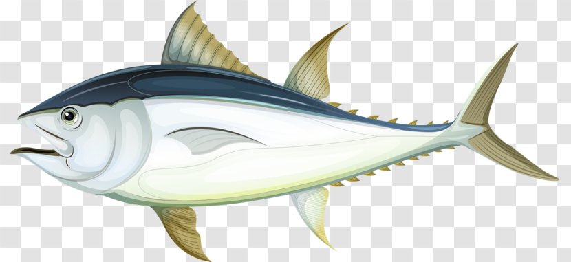 Fish Tuna Royalty-free Illustration - Salmon - Cartoon White Transparent PNG