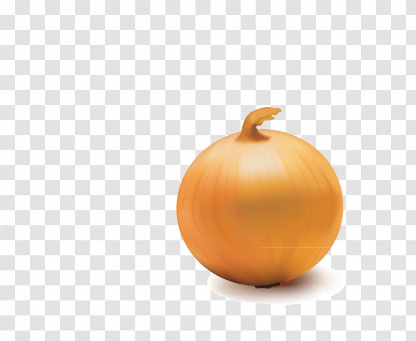 Pumpkin Calabaza Winter Squash Orange Cucurbita - Onion Transparent PNG