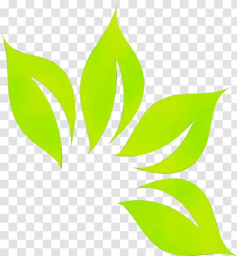 Green Leaf Watercolor - Flower - Botany Transparent PNG