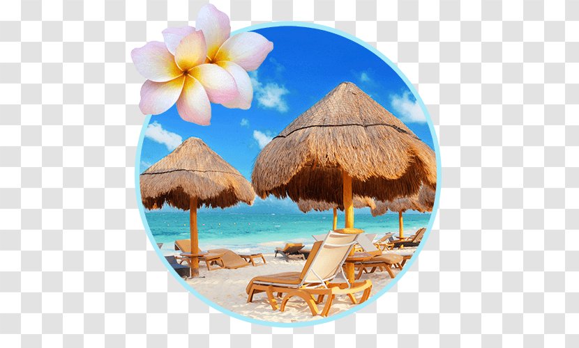 Caribbean Vacation Leisure Beach Tourism Transparent PNG