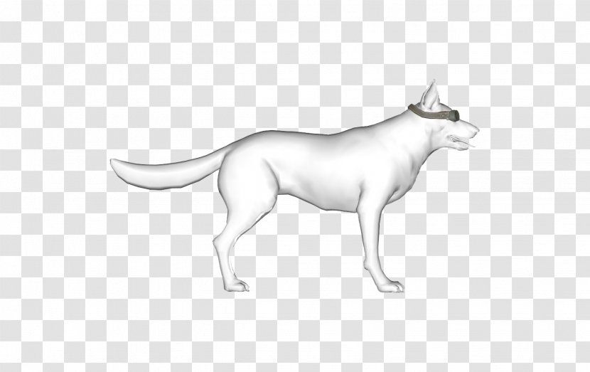 Whiskers Cat Dog Breed /m/02csf Transparent PNG