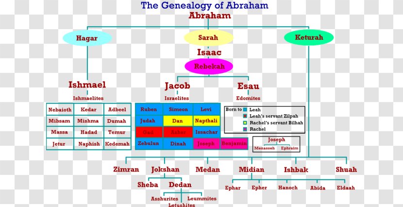 Bible Testaments Of The Twelve Patriarchs Abraham's Family Tree Genealogy - Organization Transparent PNG