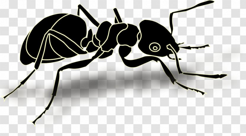 Ant Clip Art - Organism - Invertebrate Transparent PNG