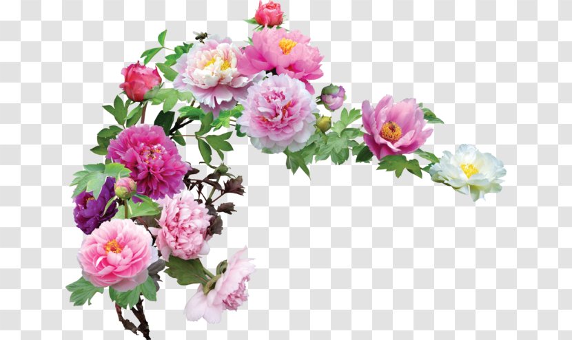 Cut Flowers Floral Design Rose Flower Bouquet - Garden Roses Transparent PNG