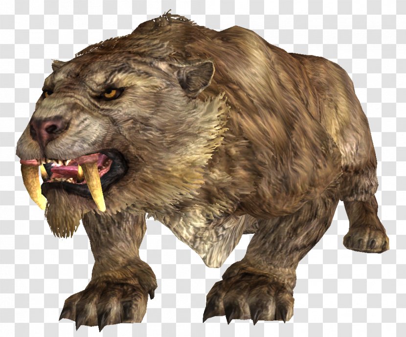 The Elder Scrolls V: Skyrim Saber-toothed Cat Cougar Tiger - Lion - Magicka Transparent PNG