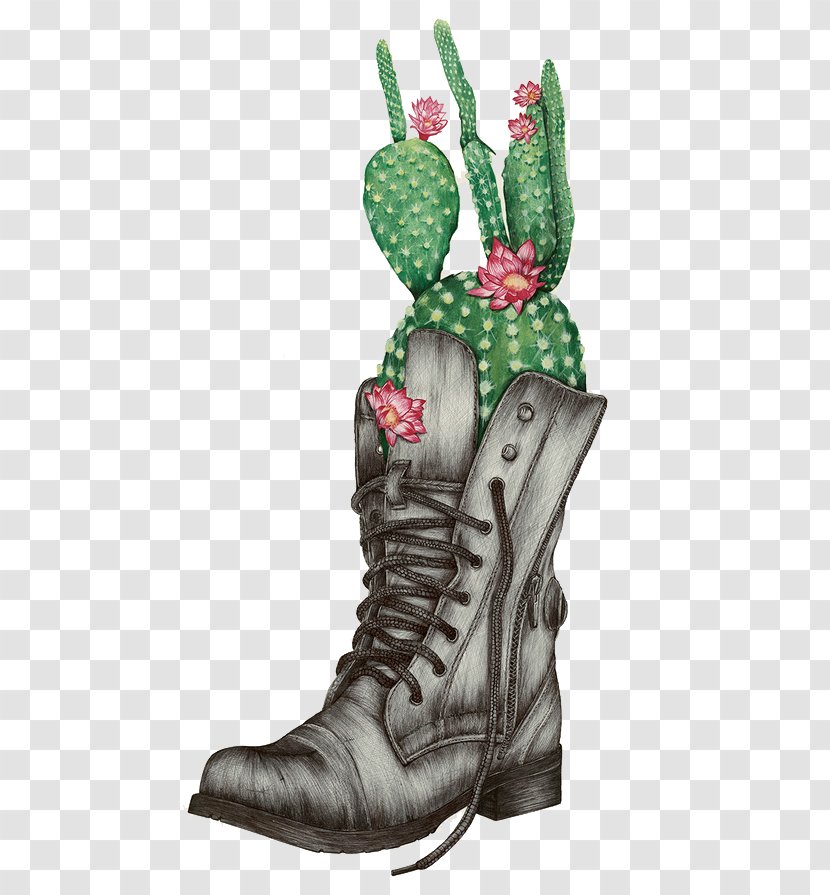 Drawing Painting Illustration - Boot - Prickly Pear Transparent PNG