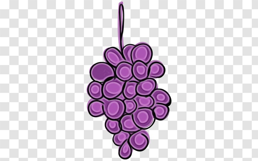Drawing Of Family - Grapevines - Plant Vitis Transparent PNG