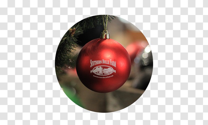Southern Belle Farm Family McDonough - Christmas Ornament - Atmosphere Transparent PNG