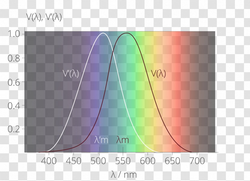 Light Spectral Sensitivity Scotopic Vision Luminosity Function Photopic - Color Temperature - Annular Luminous Efficiency Transparent PNG