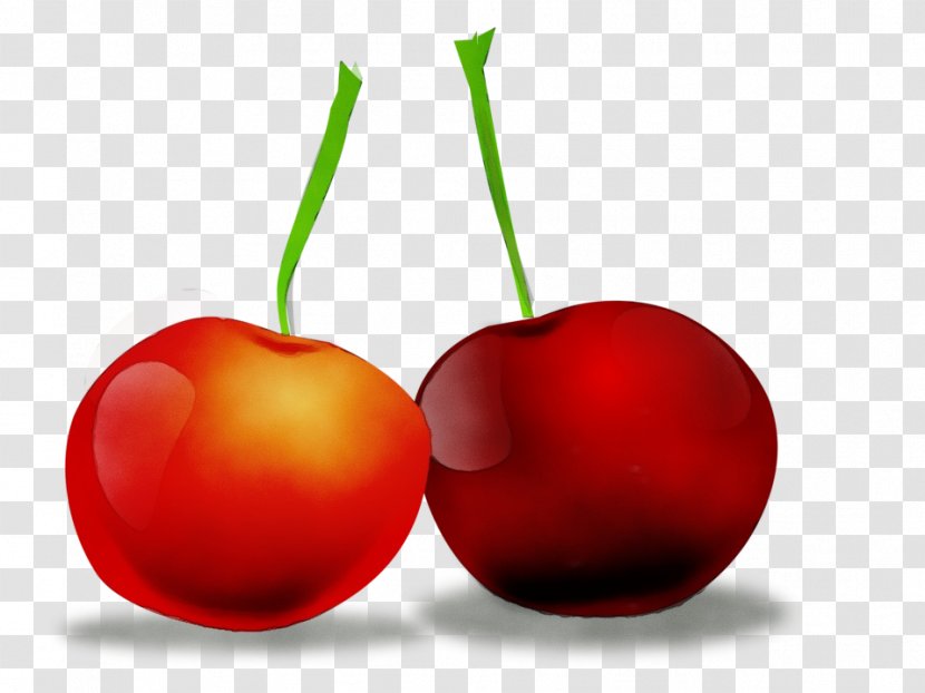 Cherry Fruit Natural Foods Red Plant - Superfood Prunus Transparent PNG