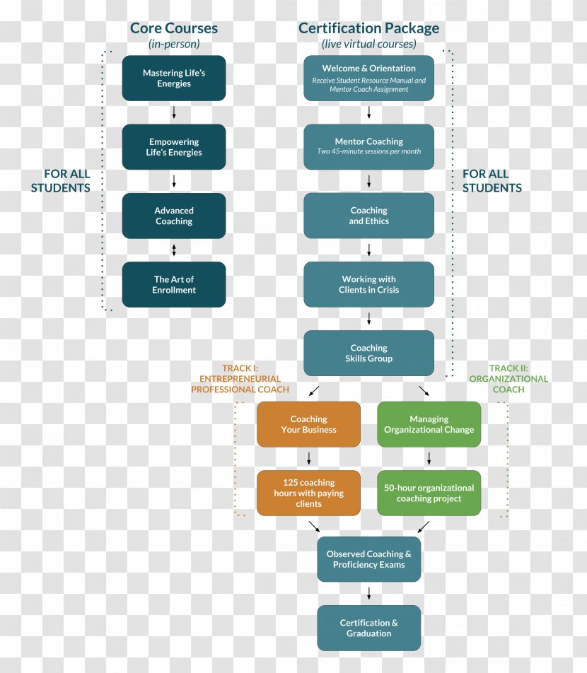 Flowchart Coaching Training Professional - Brand Transparent PNG