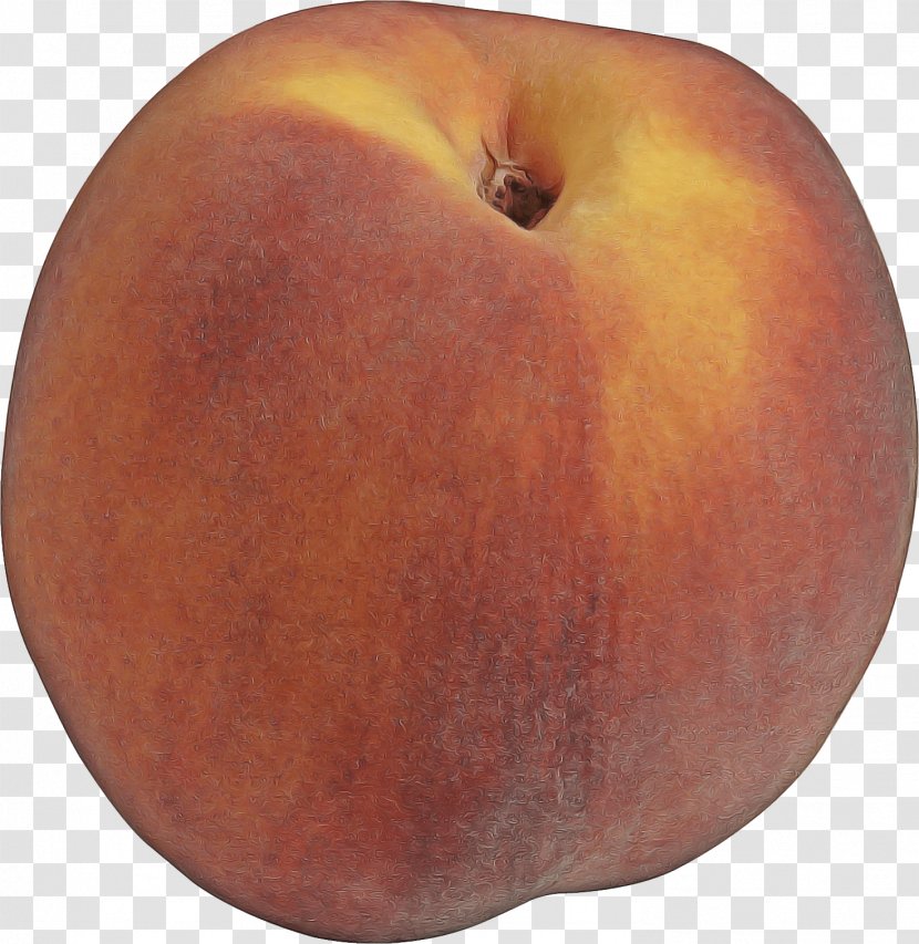 Fruit Apple Peach Plant Food - Drupe Pectin Transparent PNG