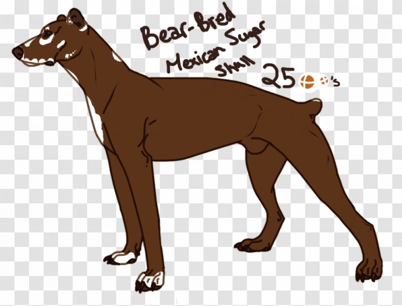 Dog Breed Where The Red Fern Grows Dobermann Redbone Coonhound German Shorthaired Pointer - Deviantart - Mexican Skull Transparent PNG