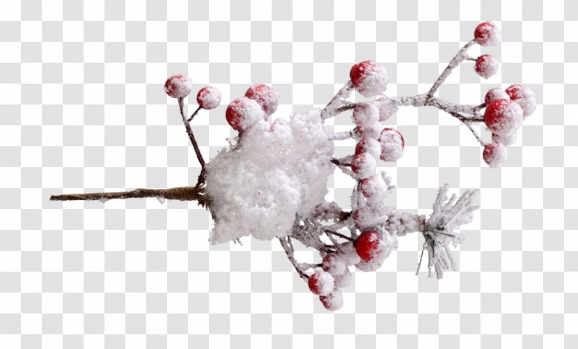 Branch Twig Tree Body Jewellery Snow - Berries Transparent PNG