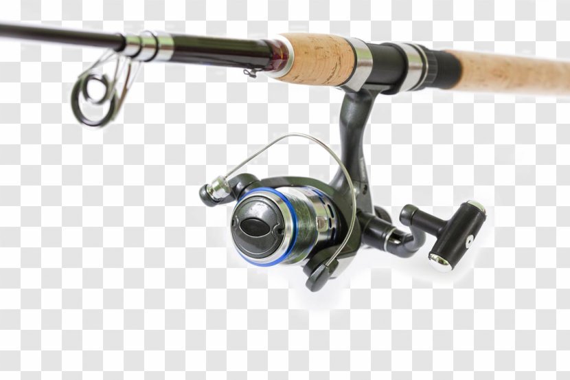 Fishing Rod Spin Angling Line Transparent PNG