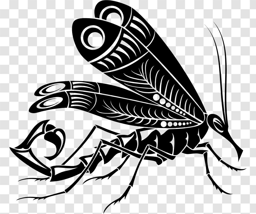 Butterfly Scorpion Gray Wolf Mosquito Clip Art Transparent PNG