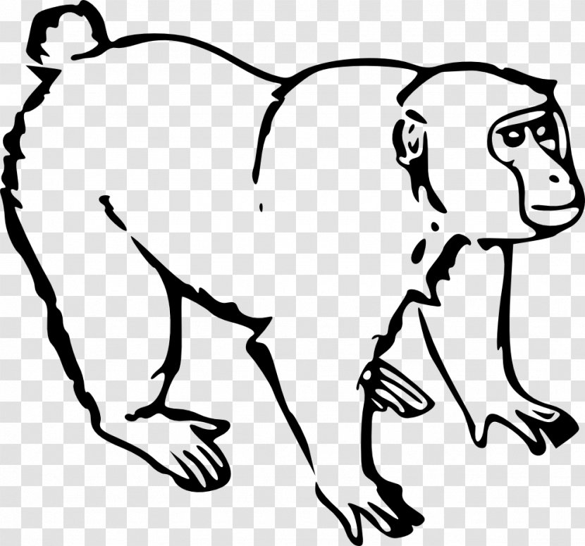 Monkey Ape Drawing Clip Art Cartoon Chimpanzee Transparent Png - download chimpanzee clipart transparent monkey roblox png