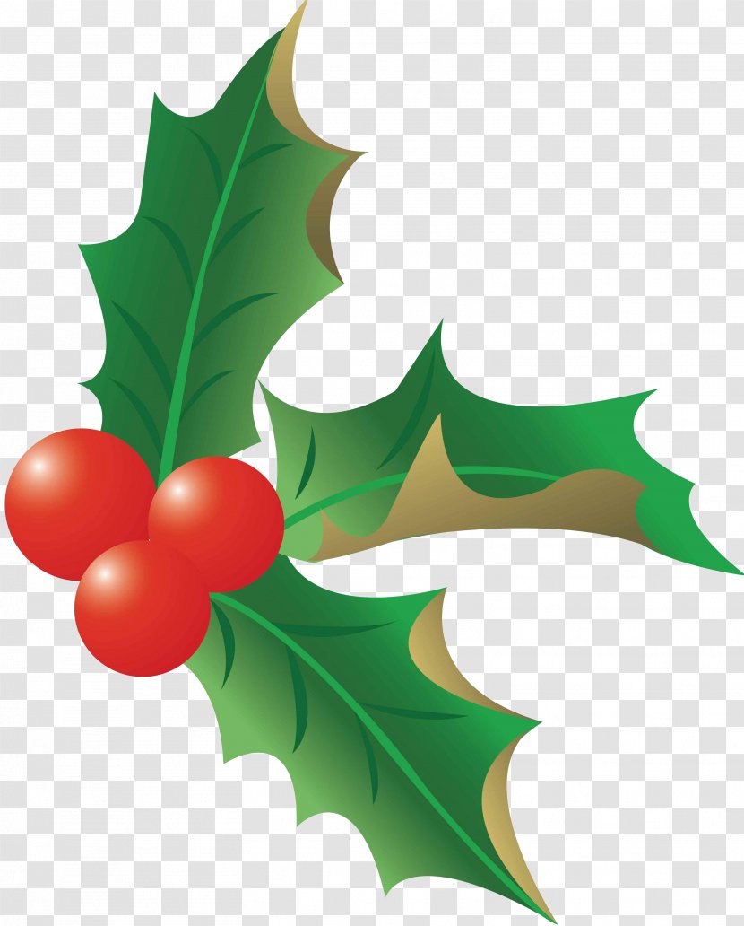 Christmas Clip Art - Common Holly - Fruit Transparent PNG