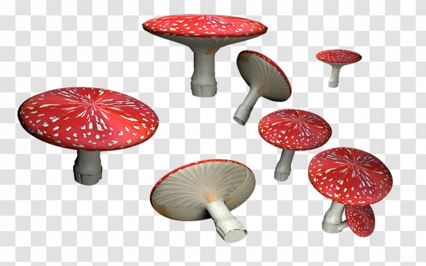 Amanita Muscaria Mushroom Fungus - Enokitake - HD Transparent PNG