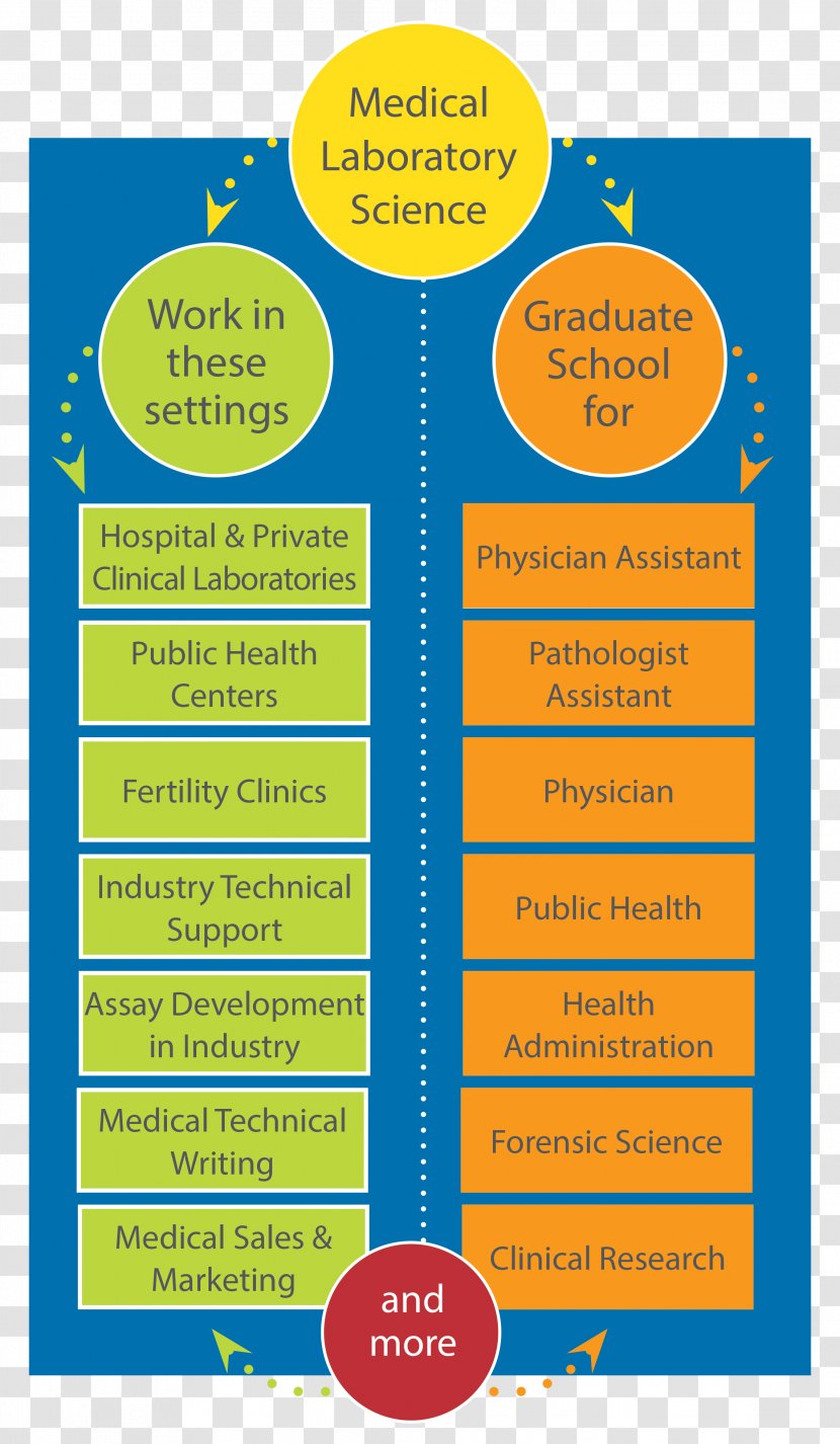 Department Of Human Development & Family Sciences Services Major University Research - Information Transparent PNG