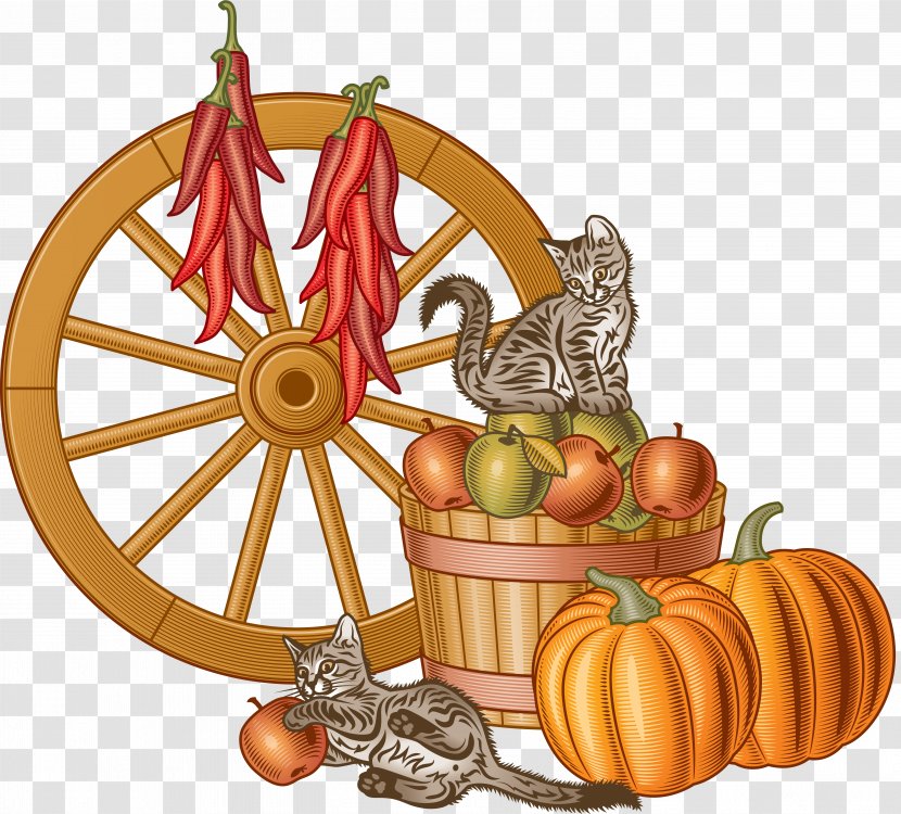 Harvest - Calabaza - Spicy Transparent PNG