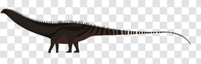 Tyrannosaurus Diplodocus Daspletosaurus Argentinosaurus Dinosaur - Velociraptor Transparent PNG