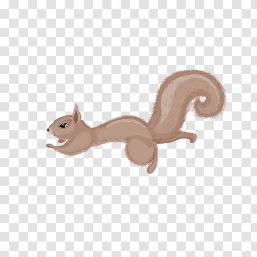 Chipmunk Squirrel - Fauna - Cute Squirrels Transparent PNG