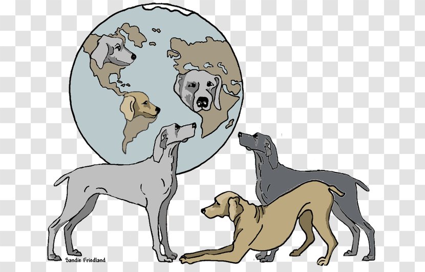 Dog Breed Puppy Italian Greyhound Weimaraner Non-sporting Group - Cat Like Mammal Transparent PNG