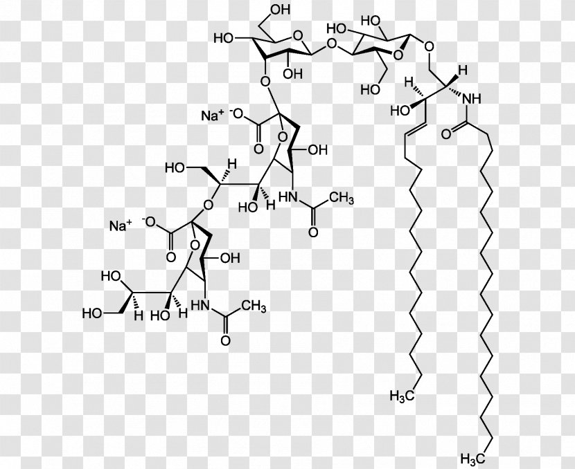 Ganglioside GM1 Lipid Nervous System Long Tail Keyword - Diagram - Antibody Transparent PNG