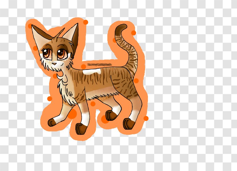 Whiskers Kitten Tabby Cat - Small To Medium Sized Cats Transparent PNG