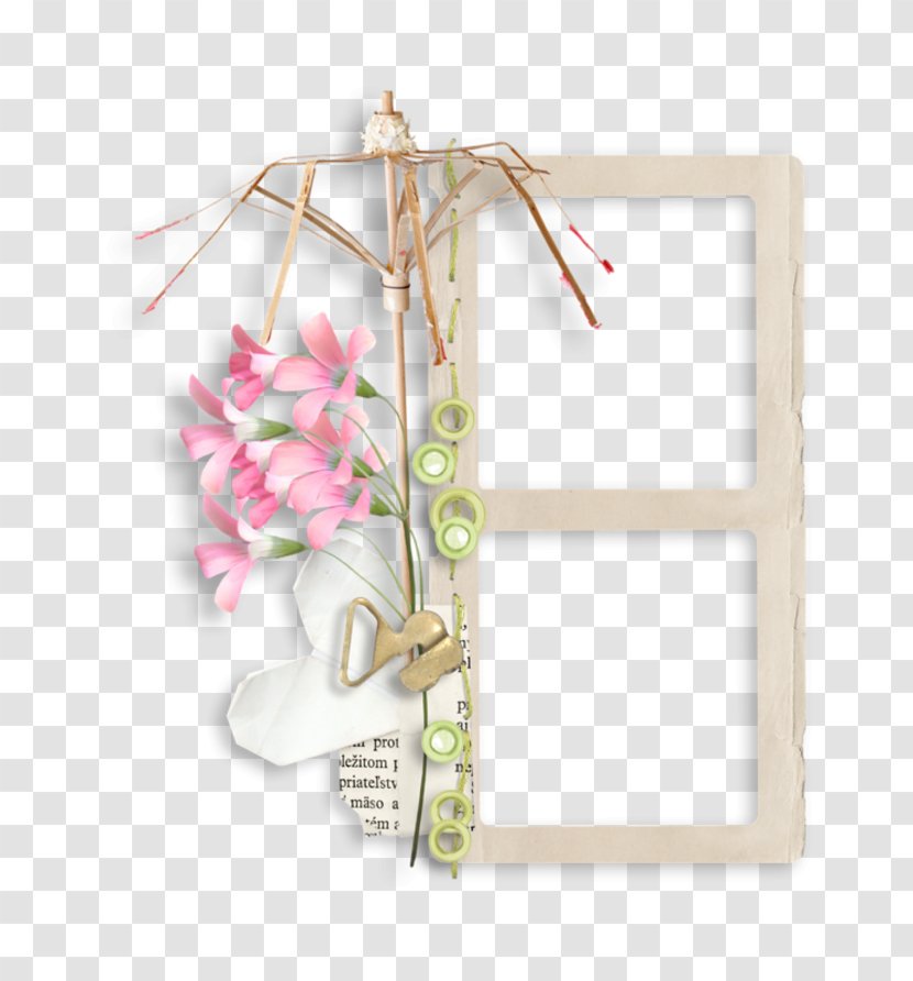 Product Picture Frames Clothes Hanger Pink M Petal - Aesthetic Posters Transparent PNG