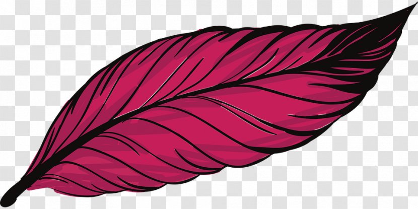 Bird Feather Peafowl - Photography - Leaf,Pink,A Transparent PNG