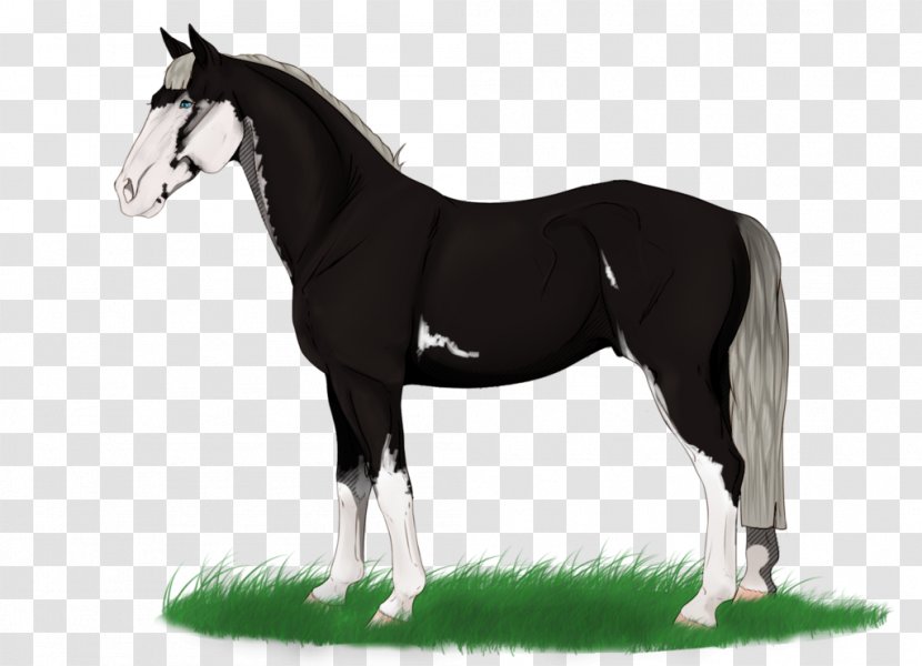 Mane Mustang Stallion Mare Foal - Bridle Transparent PNG