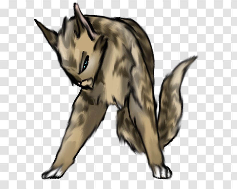 Whiskers Red Fox Gray Wolf Cat Fur - Organism Transparent PNG