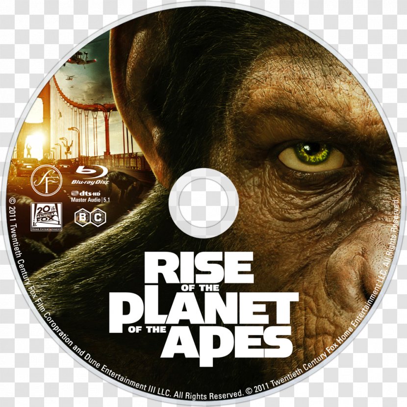 Planet Of The Apes El Planeta De Los Simios Blu-ray Disc Film 0 - Dvd Transparent PNG