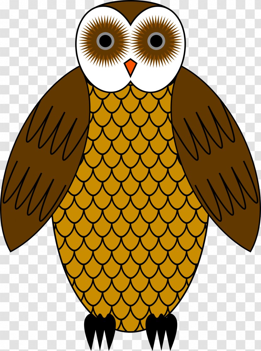 Line Art Clip - Beak - Owl Transparent PNG